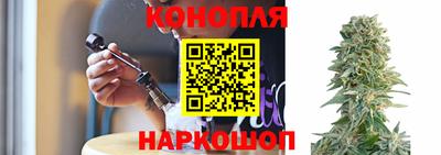 гидропоника Лесосибирск